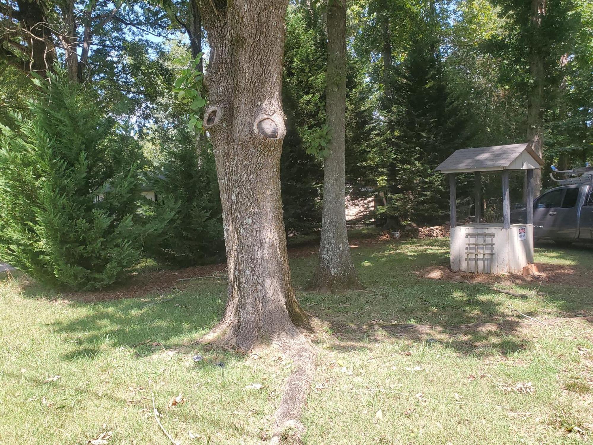 Private Single Level Standalone House Large Lot - 3 Bedrooms Charlotte Exterior foto
